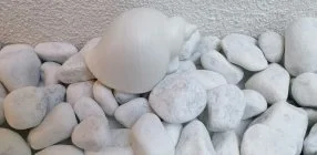 K�kert Pihen�h�z - M�rcius 15.