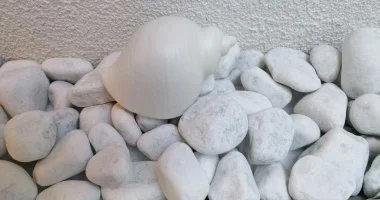 K�kert Pihen�h�z - M�rcius 15.