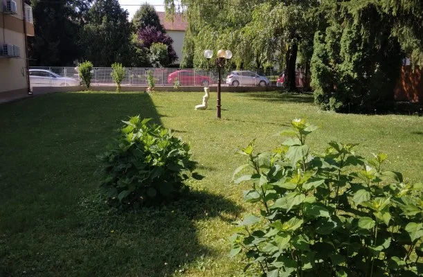 Kokó Panzió Harkány Kokó Panzió Harkány