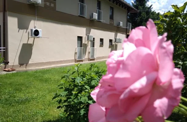 Kokó Panzió Harkány Kokó Panzió Harkány