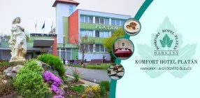 Komfort Hotel Plat�n - H�sv�t