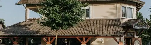 Korona Panzi s tterem 