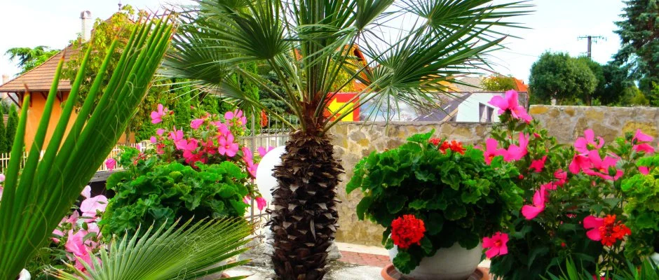 Kristly Apartman Hvz