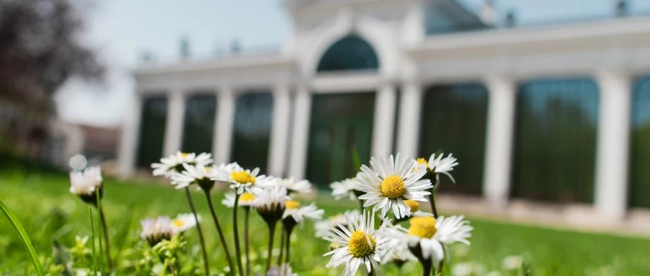 Kristly Imperial Hotel Tata