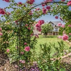 Laky Villa Zalakaros - Pünkösd (min. 2 éj)