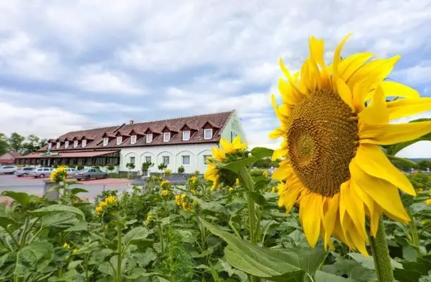 Land-Plan Hotel & Restaurant Töltéstava Land-Plan Hotel & Restaurant Töltéstava