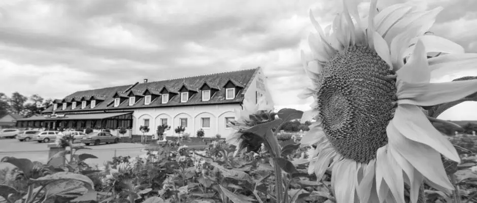 Land-Plan Hotel & Restaurant Töltéstava