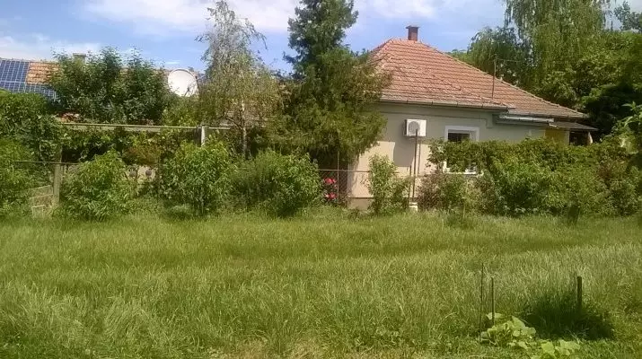 Lelkeshz Szarvas