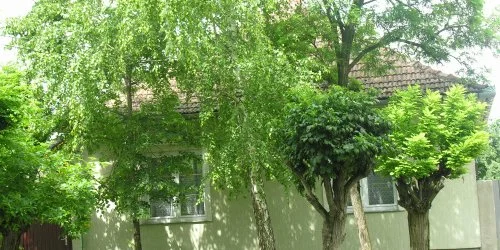 Lelkesh�z Szarvas
