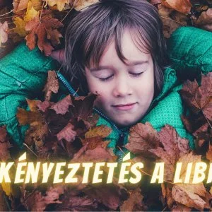 Libra Hotel Veresegyház - Őszi kényeztetés a Librában (min. 3 éj)