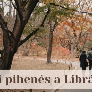 Libra Hotel Veresegyház - Őszi pihenés a Librában (min. 2 éj)