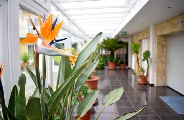 Lídia Hotel Harkány Lídia Hotel Harkány