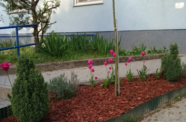 Liliom Apartman Zalakaros Liliom Apartman Zalakaros