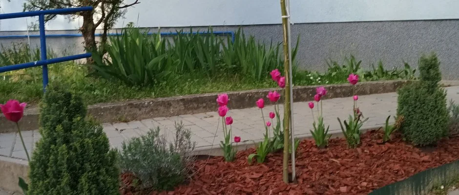 Liliom Apartman Zalakaros