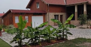 Szilveszter (min. 3 j)