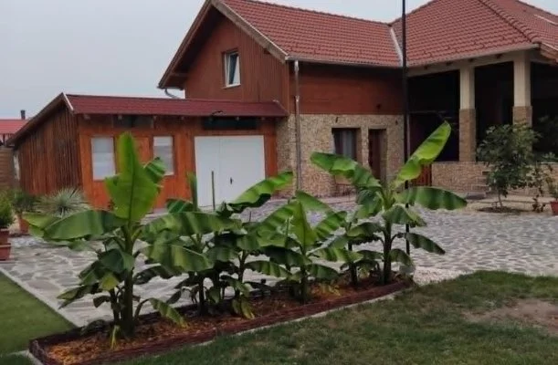 Lilla Apartmanhzak Szilvsvrad