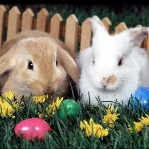  Szilvásvárad - Húsvét (min. 2 éj)