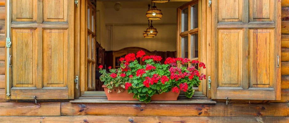 Lipicai Hotel Szilvsvrad