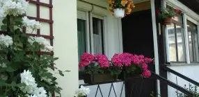 Liza Apartman - Legjobb r