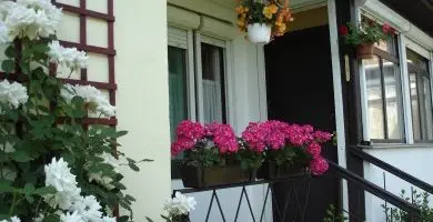 Legjobb ár (min. 2 éj)