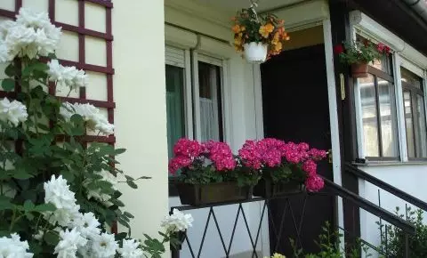 Liza Apartman Gyula - Legjobb ár