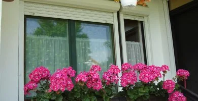 Pünkösd (min. 2 éj)