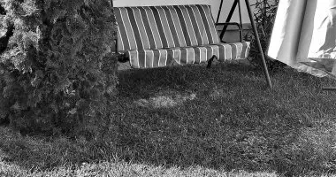 H�sv�t (min. 2 �j)