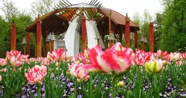 H�sv�t (min. 2 �j)