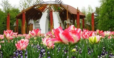 H�sv�t (min. 2 �j)