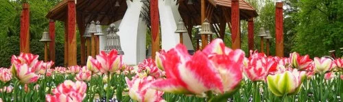 Major Panzió & Étterem