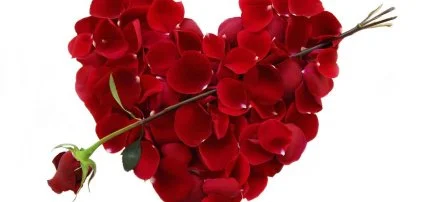 Major Panzi� & �tterem Hajd�szoboszl� - Wellness aj�nlatok Valentin napra