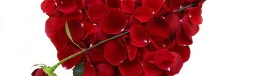 Major Panzi� & �tterem 