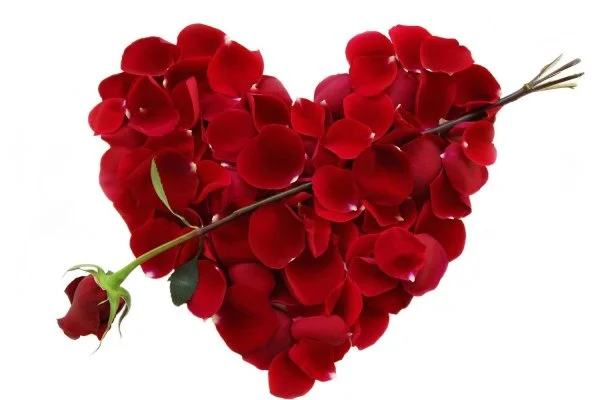 Major Panzió & Étterem Hajdúszoboszló Major Panzió & Étterem Hajdúszoboszló