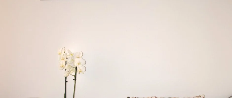 Malom-t Vendghz Tapolca