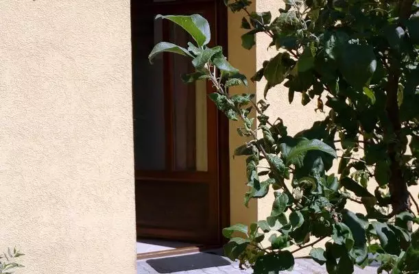 Malom-t Vendghz Tapolca