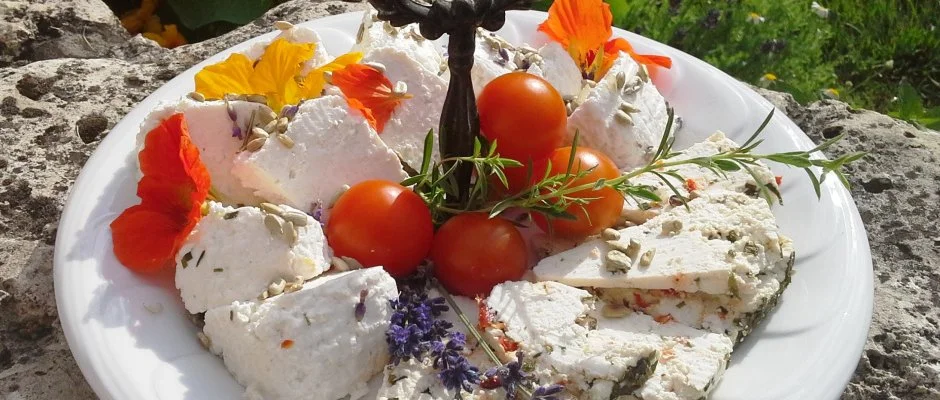 Malom-t Vendghz Tapolca