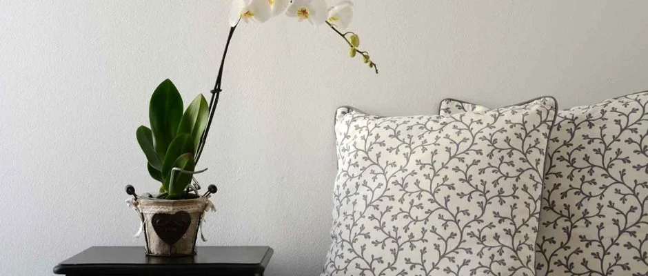 Malom-t Vendghz Tapolca