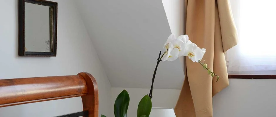 Malom-t Vendghz Tapolca