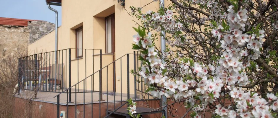 Malom-t Vendghz Tapolca