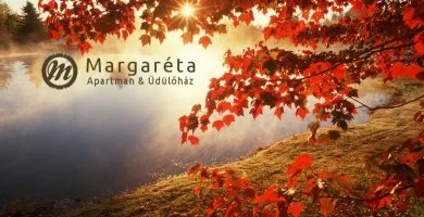 Kikapcsol�d�s Bog�cson (1 �jt�l)