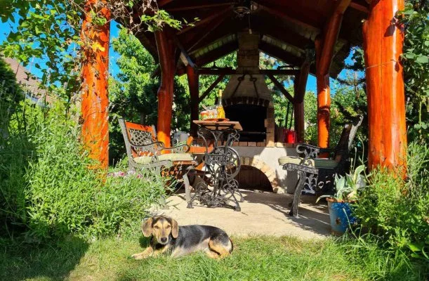 Margar�ta Panzi� S�rospatak