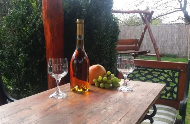 Margar�ta Panzi� S�rospatak