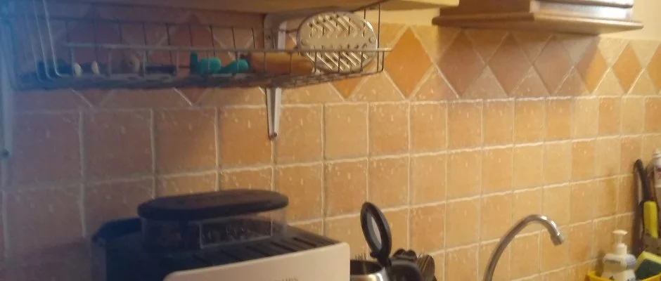 Margar�ta Panzi� S�rospatak