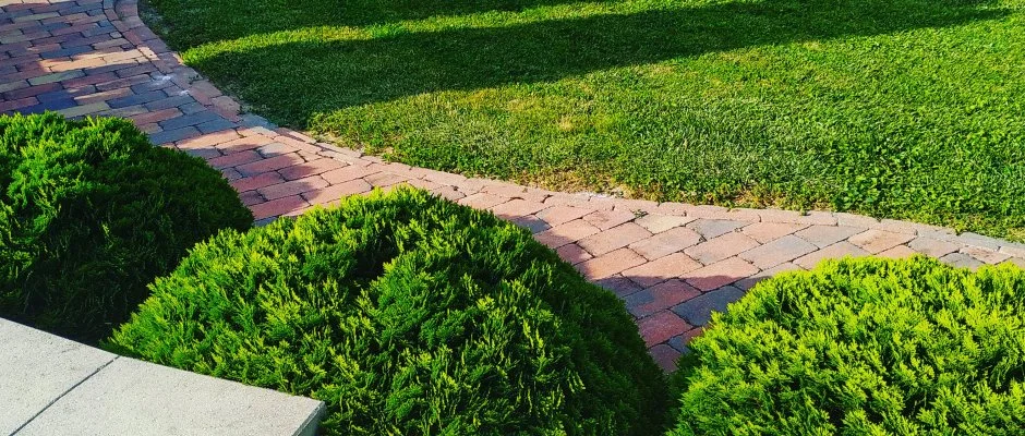 Mria Apartmanok Zalakaros