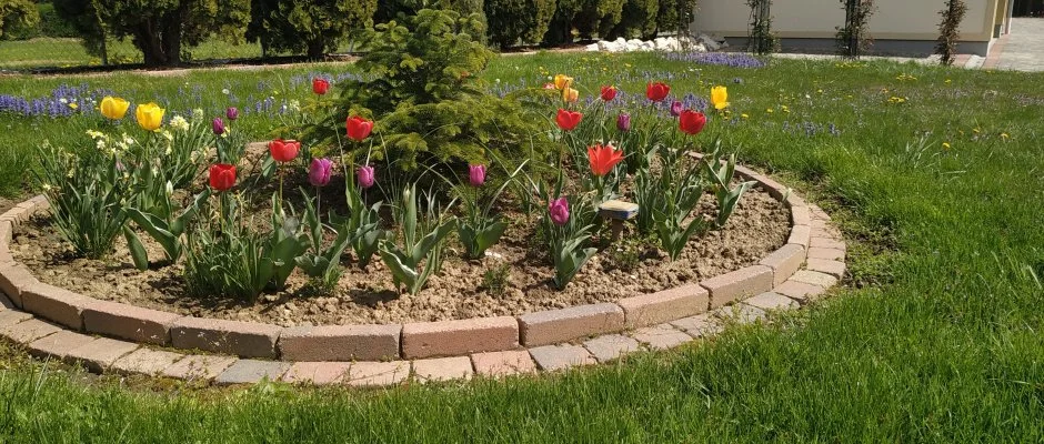 Mria Apartmanok Zalakaros