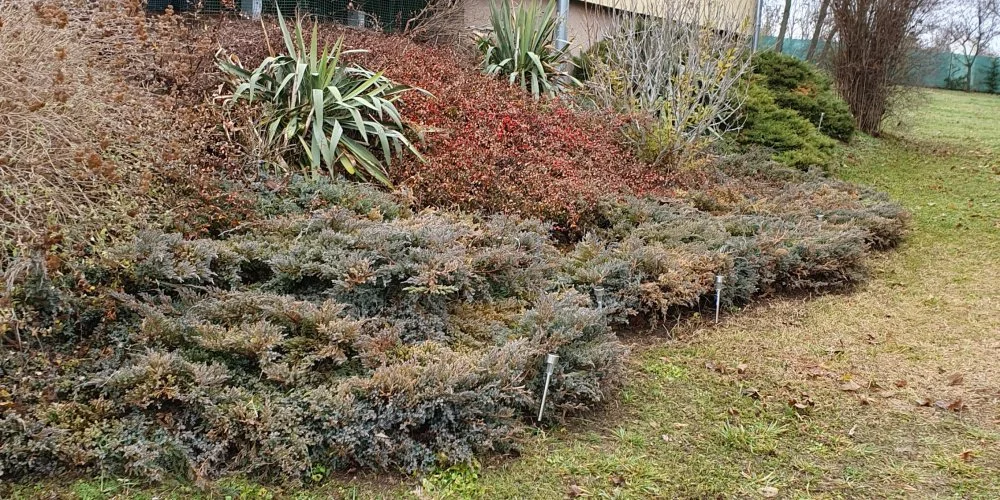 M�rk�i Vend�gh�z M�rk�