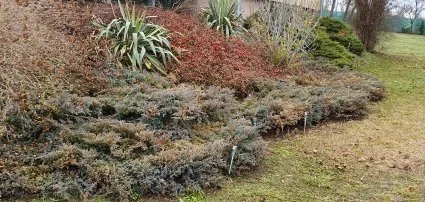 Márkói Vendégház Márkó - Wellness csomagok augusztus 20-ra Márkói Vendégház Márkó - Wellness csomagok augusztus 20-ra