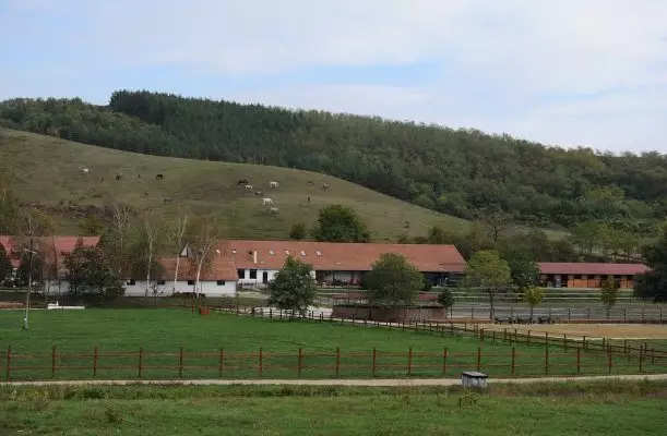 Mátyus Udvarház Eger Mátyus Udvarház Eger
