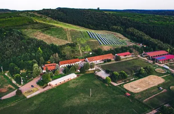 Mátyus Udvarház Eger Mátyus Udvarház Eger