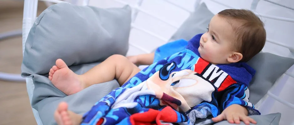 Ndas T Park Hotel Vasad